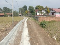 Diduga Proyek Siluman Pekerjaan Saluran Irigasi di Sinar Luas dikeluhkan Warga