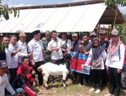 Program Ketahanan Pangan, Pekon Sukadamai Salurkan Bantuan 10 Ekor Kambing dan 1 Unit Kandang