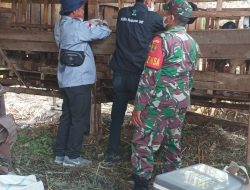 WCS, Bersama BPP-UPT Keswan Vaksin Ternak Warga, Dalam Upaya Pencegahan Satwa Liar