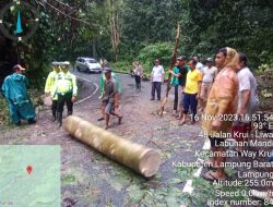 Gerak Cepat Polres Pesisir Barat Bersama Masyarakat Bantu Evakuasi Pohon Tumbang yang Menutupi Jalan