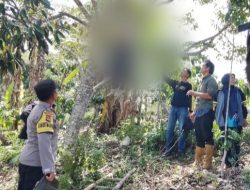 Akibat Diduga Depresi Penyakit Tak Kunjung Sembuh Warga Lampung Tengah Gantung Diri di Pohon Durian