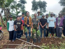 Mendukung Sebagai Kabupaten Konservasi, Peratin Karang Agung Melakukan Penanaman Bibit Alpukat di Lahan Register 44 B