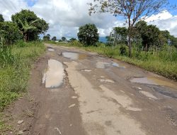 Warga Sambut Baik Rencana Pembangunan Ruas Jalan Waspada – Sekincau