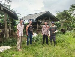 Seekor Kambing Diduga Dimangsa Harimau Pemangku Subhan Ulu Pekon Tambak Jaya