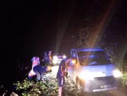 Polres Pesisir Barat Gerak Cepat Evakuasi Pohon Tumbang yang Meutup Badan Jalan di Pal 9 Pekon Labuhan Mandi