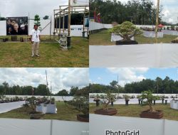 Dalam rangka Hut Tubaba, PPBI Tubaba Mengadakan Pameran dan Kontes Bonsai Setra Nasional Mengusung Tema Cangget Bonsai Tubaba
