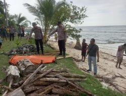 Polres Pesisir Barat Evakuasi Sesosok Mayat Mengapung di Perairan Dangkal Pelabuhan Jaoh Pekon Way Batang Kecamatan Lemong