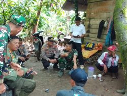 Tim Gabungan Penanganan Satwa Liar Disuoh Berhasil Menangkap Harimau Pemangsa Manusia