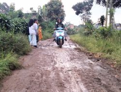 Masyarakat Pemangku Talang Serut Pekon Sukaraja Keluhkan Jalan Kabupaten yang Becek