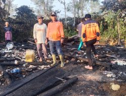 Rumah Warga Pekon Sindang Pagar Terbakar Saat Jenguk Tetangga Sakit