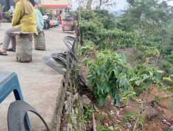 Demi Keamanan, Pengunjung Lokasi Wisata Sekolah Kopi Minta Pihak Terkait Pasang Pagar di Lokasi Bermain
