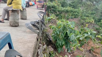 Demi Keamanan, Pengunjung Lokasi Wisata Sekolah Kopi Minta Pihak Terkait Pasang Pagar di Lokasi Bermain
