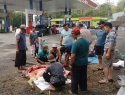 SPBU. 24.345.17 Liwa Salurkan 100 Paket Daging Hewan Qurban kepada Masyarakat Sekitar