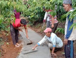 Pekon Karang Agung Manfaatkan Hasil Penyewaan GSG Untuk Bangun Jalan