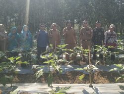 Pemerintah Tiyuh Karta Panen Perdana Program K3