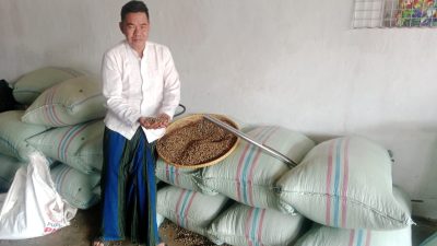 Harga Kopi di Lampung Barat Semakin Naik Hingga 74000 Lebih Petani Makmur Pedagang Juga Ikut Makmur