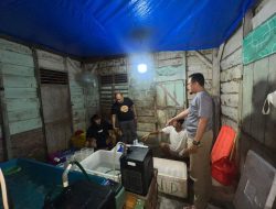 Gudang Penampungan Benih Lobster Senilai Rp 1,1 Miliar yang Akan Dikirim ke Vietnam Digerebek Polda Lampung