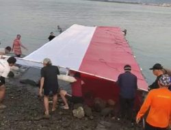 Rekor MURI HUT RI, Perenang Antar Pulau Lampung Tarik Merah Putih, Kunyit ke Mutun