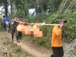 Tim SAR Temukan Warga Bukit Kemuning Yang Diduga Hanyut di Way Besai Saat Mancing
