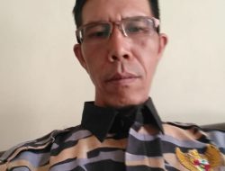 Ormas PEKAT IB Lambar Dukungan Cawagub Lampung Mirzani-Jihan dan Calon Bupati Lambar PM-MH