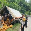 Laka Beruntun di Jalur Wisata Pesawaran, Truk Box Gagal Menanjak Jadi Penyebab