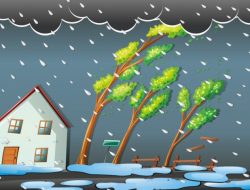 Waspada Cuaca Ekstrem: Hujan dan Angin Kencang Terjang Lampung Barat, BPBD Imbau Masyarakat Tetap Siaga