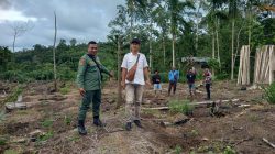 Polres Pesisir Barat Gelar Patroli Gabungan Cegah Konflik dengan Harimau Sumatra