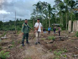 Polres Pesisir Barat Gelar Patroli Gabungan Cegah Konflik dengan Harimau Sumatra