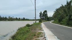 Polsek Bengkunat Intensif Monitoring Potensi Banjir, Warga Diminta Tetap Waspada