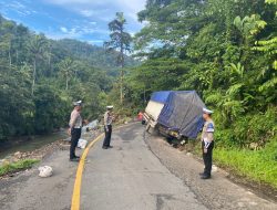 Satlantas Polres Lampung Barat Evakuasi Kendaraan Terperosok, Jalur Liwa-Krui Kembali Normal