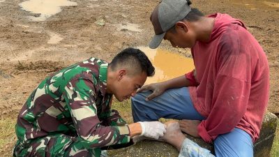 Sentuhan Kemanusiaan: Tim Kesehatan Kodim 0422/LB Turut Beraksi di TMMD ke-124