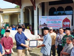 Presiden Prabowo Sumbang Sapi Kurban, Bupati OKU Selatan Pimpin Langsung Prosesi Penyembelihan