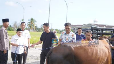 Wabup Irawan Topani Serahkan Lima Ekor Sapi Qurban, Prioritaskan Yatim Piatu dan Kaum Dhuafa
