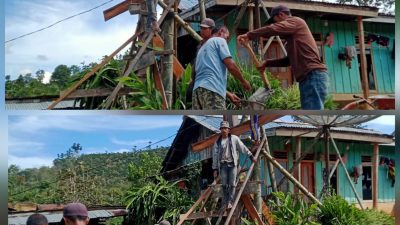 Warga Dusun Simpang Gadis Pekon Mekarsari Swadaya Bangun Tiang Listrik Permanen