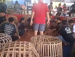 Skandal Judi Sabung Ayam Ratusan Juta di Purbalingga: Diduga Dibekingi Oknum DPR, Aparat Diam