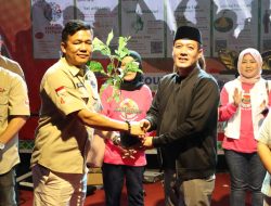 Dukung Lingkungan Lestari, TLCI Chapter #6 Lampung Donasikan 500 Bibit Seroja ke Pemkab Pesisir Barat