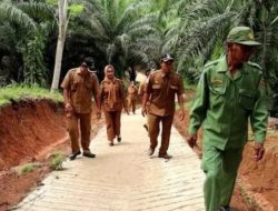 Akses Jalan Mulus, Warga Pekon Pagar Bukit Kini Lebih Mudah Angkut Hasil Panen