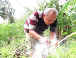 Dana Desa Jadi Penyelamat Warga Pekon Suka Negeri dari Kekeringan