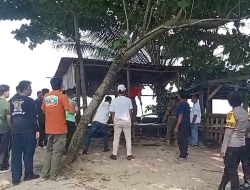 Pemkab Pesisir Barat Tertibkan UMKM di Pantai Labuhan Jukung yang Tak Sesuai Kebijakan Pariwisata