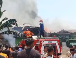 Dugaan Korsleting Listrik Picu Kebakaran Sekolah MTs NU Krui di Pesisir Barat