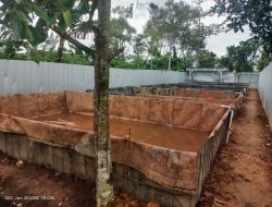 Pekon Semarang Jaya Kembangkan Budidaya Lele Modern