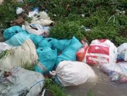 Sampah Tak Terkendali di Padang Tambak, Ini Kata Edi Novial 