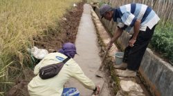 Semangat Gotong Royong dan Membangun Terus di Tunjukan Masyarakat Karang Agung