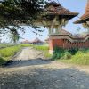 Viral! Diduga Gudang Penampungan Solar Ilegal Ditemukan di Suradadi Pemalang